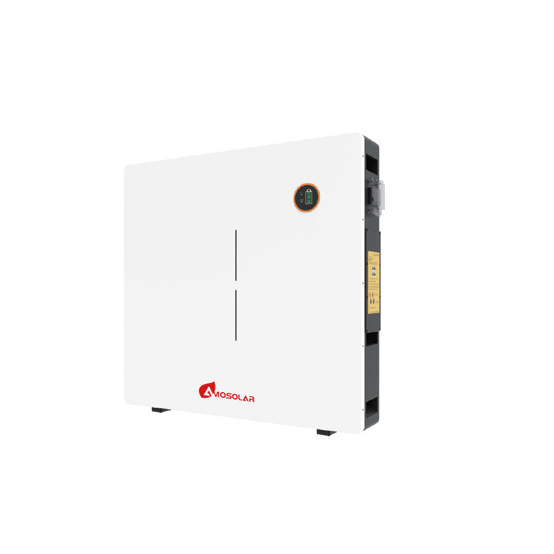 48V 51.2V 100AH 200AH 300AH Solarstrom Lithium-Ionen-Batterie Wand mit OEM / ODM-Service